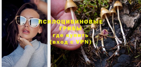 стафф Алексеевка