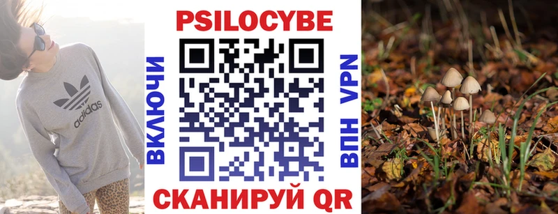 наркота  Томск  Псилоцибиновые грибы мухоморы 