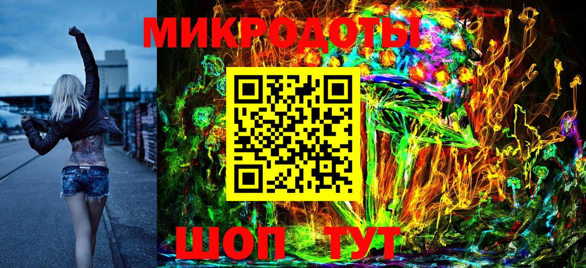 Галлюциногенные грибы Psilocybe Томск
