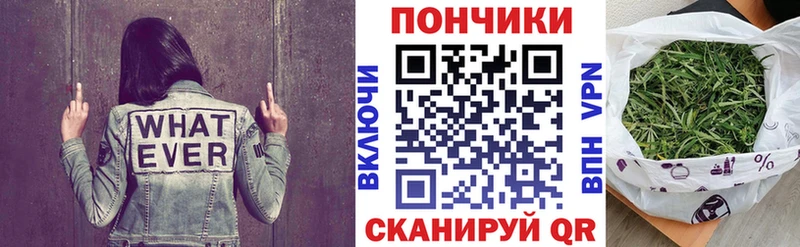 Каннабис индика Томск